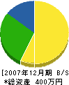 多賀ペンキ店 貸借対照表 2007年12月期