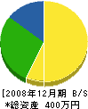 多賀ペンキ店 貸借対照表 2008年12月期