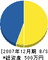 上村電気商会 貸借対照表 2007年12月期