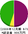 マルマサ藤田組 貸借対照表 2008年12月期
