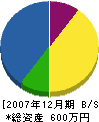 江部電気 貸借対照表 2007年12月期