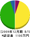 前田塗装店 貸借対照表 2009年12月期