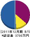 南大阪設備工業所 貸借対照表 2011年12月期
