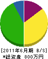 松本鉄工所 貸借対照表 2011年6月期