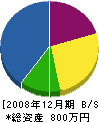 栖川サク泉 貸借対照表 2008年12月期