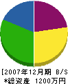 渡辺建設 貸借対照表 2007年12月期