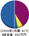 横山商店 貸借対照表 2009年3月期