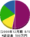 川端塗装店 貸借対照表 2008年12月期