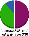 美尚堂 貸借対照表 2008年3月期
