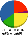 岡田建設 貸借対照表 2010年6月期