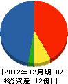 明晃電機 貸借対照表 2012年12月期