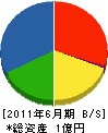 菊水サトー建設 貸借対照表 2011年6月期