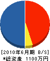 青森エコプラン 貸借対照表 2010年6月期