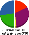 丸英佐藤工務店 貸借対照表 2012年3月期