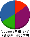 エイケン 貸借対照表 2009年6月期