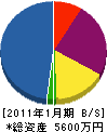 きくおか電気商会 貸借対照表 2011年1月期