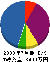 川俣組 貸借対照表 2009年7月期