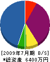 川俣組 貸借対照表 2009年7月期 川俣組 貸借対照表 2009年7月期