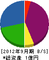 ヤマカワ 貸借対照表 2012年9月期