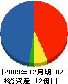 明晃電機 貸借対照表 2009年12月期