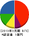 柳澤電気工業 貸借対照表 2013年3月期