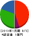 大江工務店 貸借対照表 2013年1月期