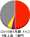東埼 損益計算書 2010年5月期