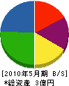 駒井建設興業 貸借対照表 2010年5月期