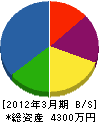 須崎水道工業 貸借対照表 2012年3月期