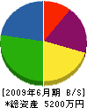 斎藤産業 貸借対照表 2009年6月期