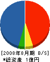 エコシステム 貸借対照表 2008年8月期