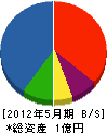斉明エンジニアリング 貸借対照表 2012年5月期