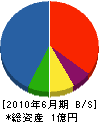 芹沢建設 貸借対照表 2010年6月期