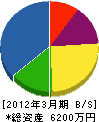 池田電気商会 貸借対照表 2012年3月期