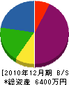 大嶋緑地造園 貸借対照表 2010年12月期