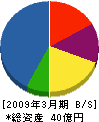 菱日エンジニアリング 貸借対照表 2009年3月期