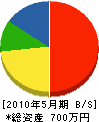 長谷川グリーン 貸借対照表 2010年5月期