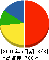 長谷川グリーン 貸借対照表 2010年5月期 長谷川グリーン 貸借対照表 2010年5月期
