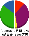 テクト 貸借対照表 2009年10月期