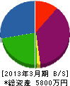 櫻井 貸借対照表 2013年3月期
