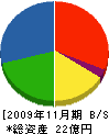 イヅミ商事 貸借対照表 2009年11月期
