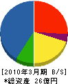 松本組 貸借対照表 2010年3月期