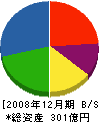 マエカワ 貸借対照表 2008年12月期