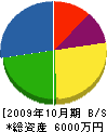 﨑元組 貸借対照表 2009年10月期