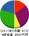 伊藤組 貸借対照表 2011年5月期