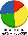 尾崎塗装店 貸借対照表 2009年6月期
