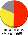 セイビ 損益計算書 2009年9月期