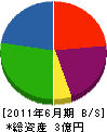 牟田商会 貸借対照表 2011年6月期