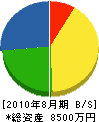 和田塗装工業 貸借対照表 2010年8月期