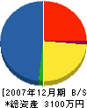 島組 貸借対照表 2007年12月期